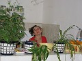 200411224 006